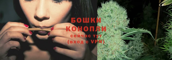 дмт Губаха